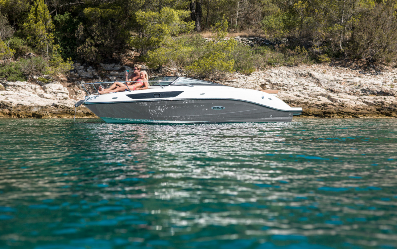 Катер Sea Ray  230 SunSport фото 1.3