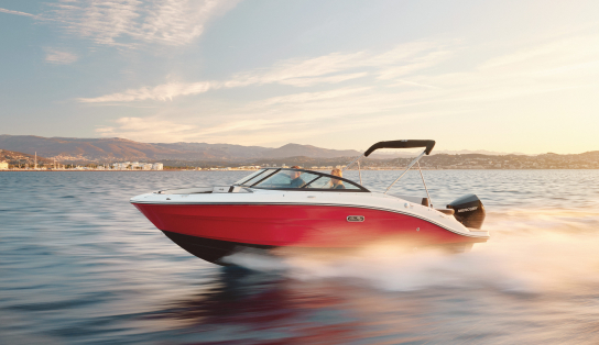 Катер Sea Ray  SPX 210 OB (Outboard)